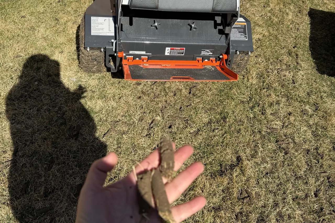 Soil cores pulled by a core aerator, held in hand in front of the machine