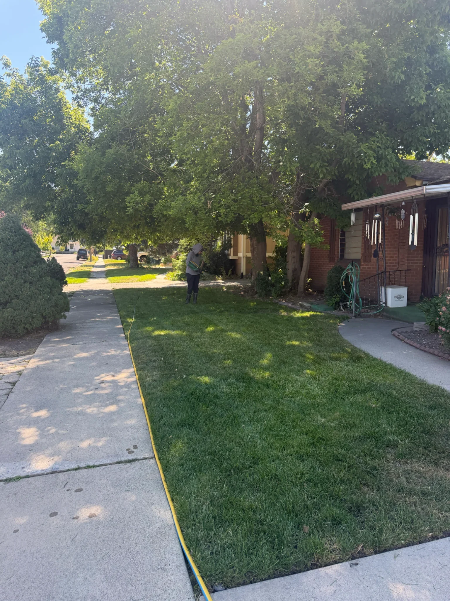 A Green Lawn technician applying a hose treatment across a green front lawn