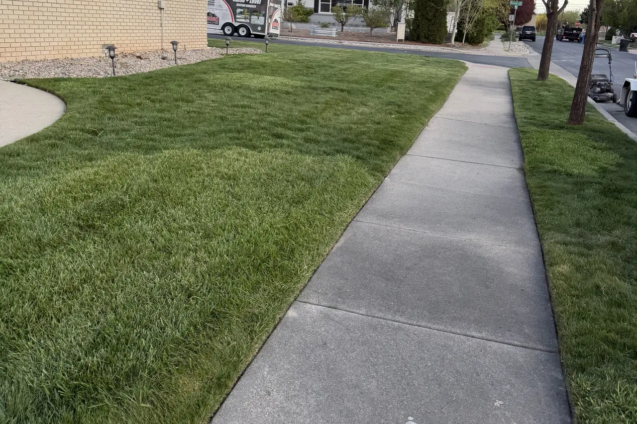 Neatly edged front lawn beside a sidewalk after a Green Lawn Utah mowing visit