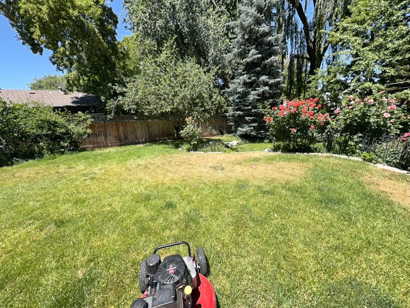 Mowing a large back lawn, seen from behind the mower part-way through the job
