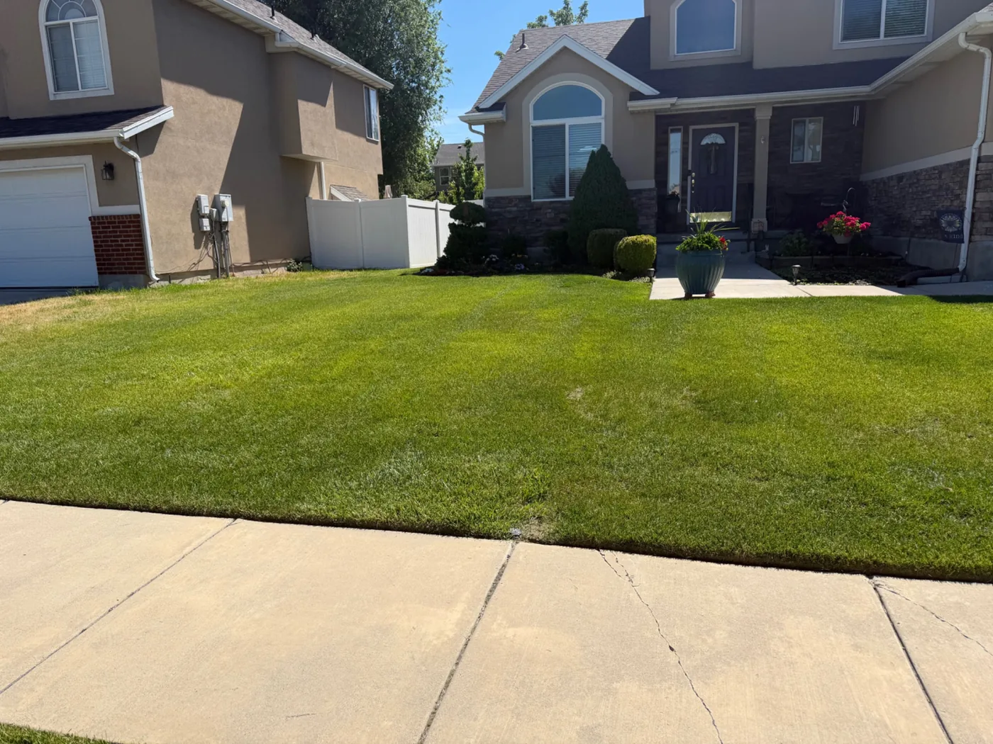 A thick, evenly cut front lawn in the Salt Lake Valley, edged along the sidewalk